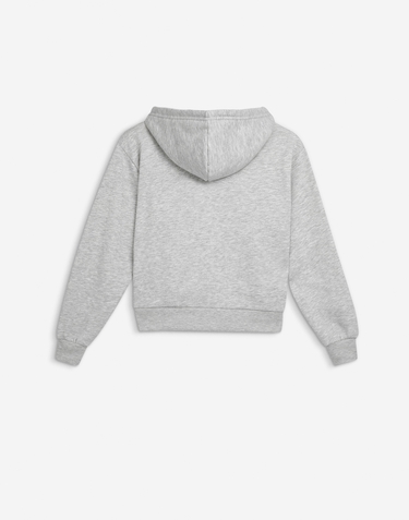 Apparel Hawkers Apparel FRA CROP HOODIE GREY