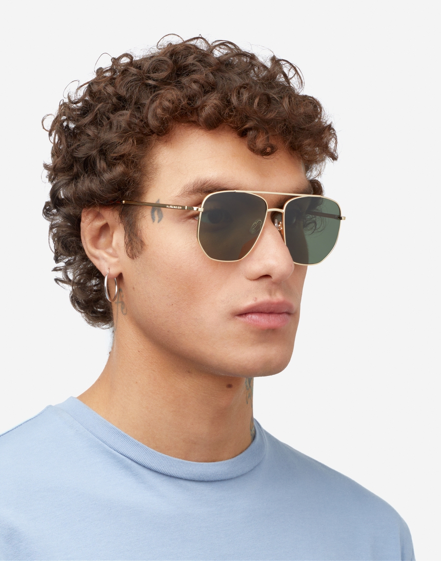 Hawkers CAD - POLARIZED GOLD ALLIGATOR master image number 7.0