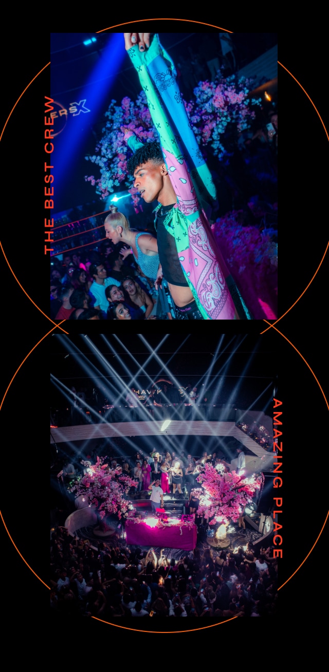 Hawkers 10th anniversary