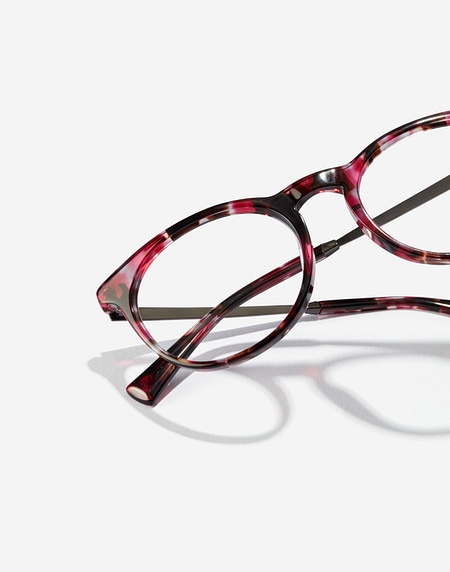 &Oacute;culos de vista Hawkers Eyewear FUCHSIA CAREY CABERNET