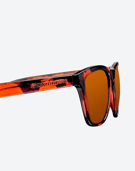 Sunglasses Northweek REGULAR TORTOISE