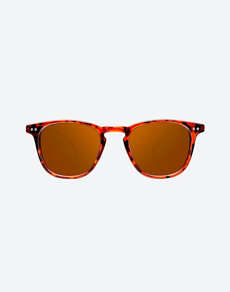 Lentes de sol Northweek WALL SHINE TORTOISE - AMBAR POLARIZED