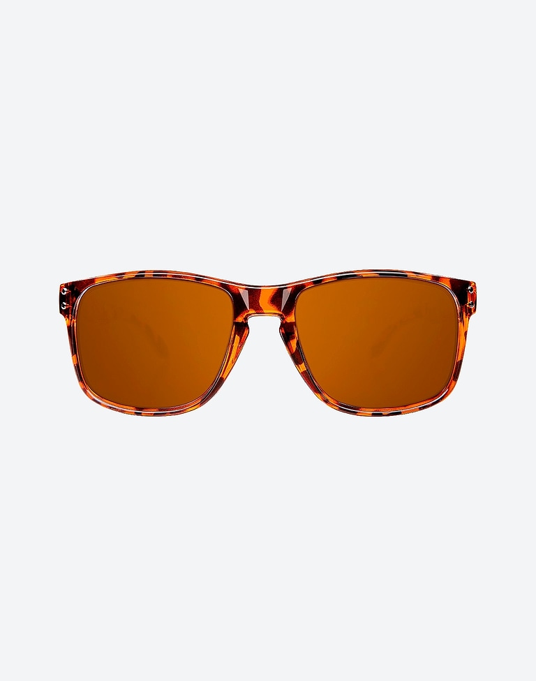 Lentes de sol Northweek BOLD SHINE TORTOISE BROWN - AMBAR POLARIZED