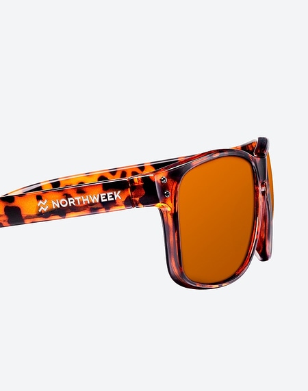 Sunglasses Northweek BOLD SHINE TORTOISE BROWN - AMBAR POLARIZED