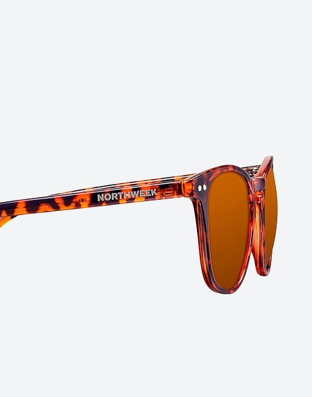 Sunglasses Northweek WALL SHINE TORTOISE - AMBAR POLARIZED