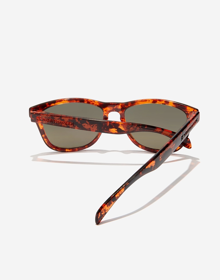Lentes de sol Northweek REGULAR TORTOISE RED