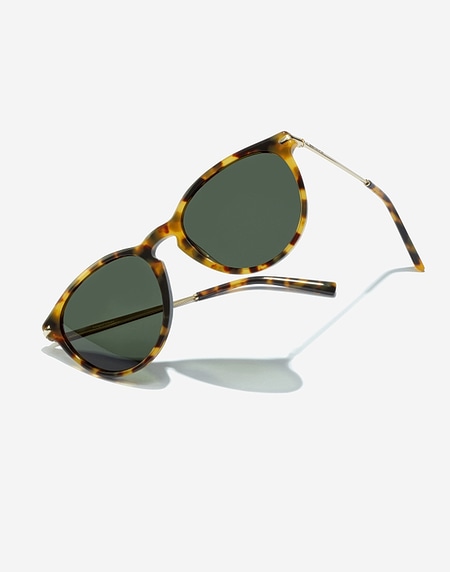 Sunglasses Hawkers MARK - POLARIZED CAREY ALLIGATOR
