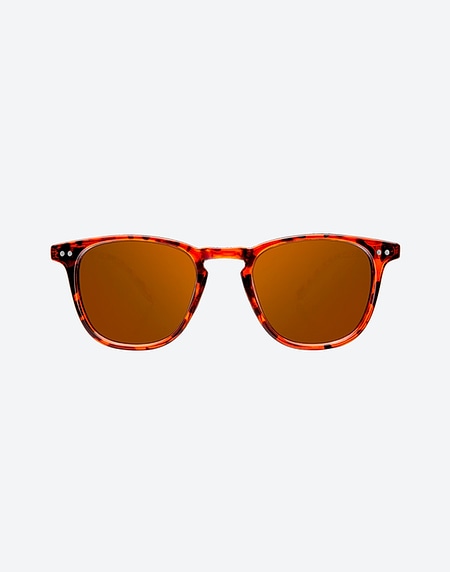 Nos Lunettes de Soleil Northweek WALL SHINE TORTOISE - AMBAR POLARIZED